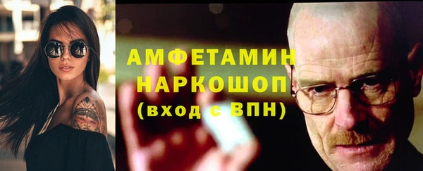 амф Новозыбков